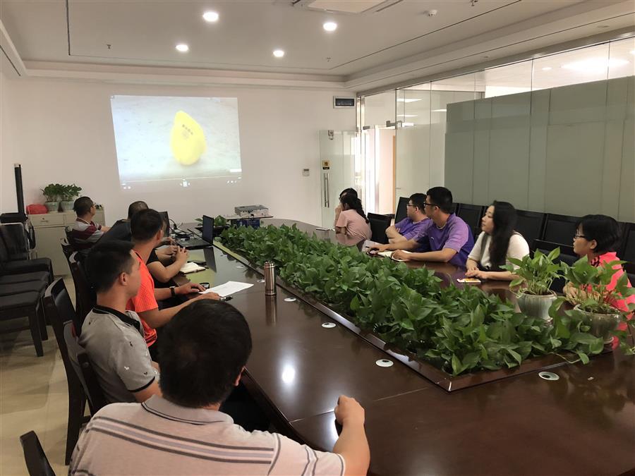 全发国际(中国)有限公司官网