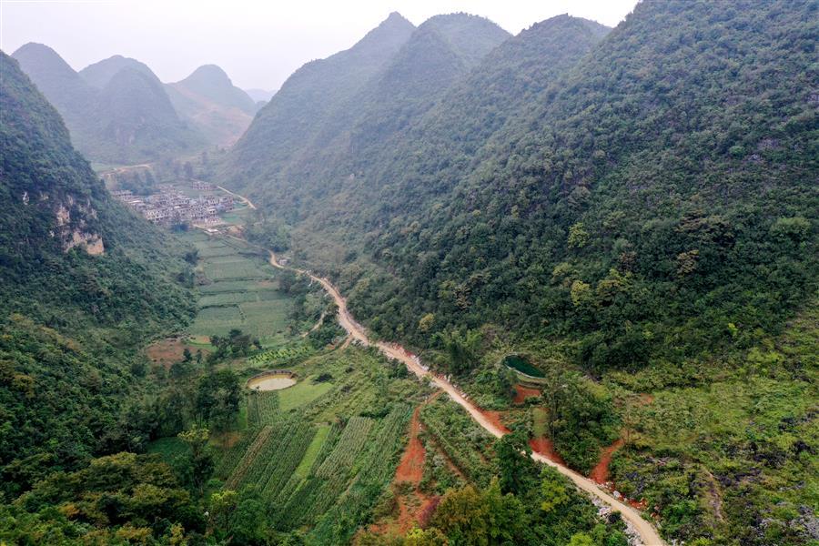 全发国际(中国)有限公司官网