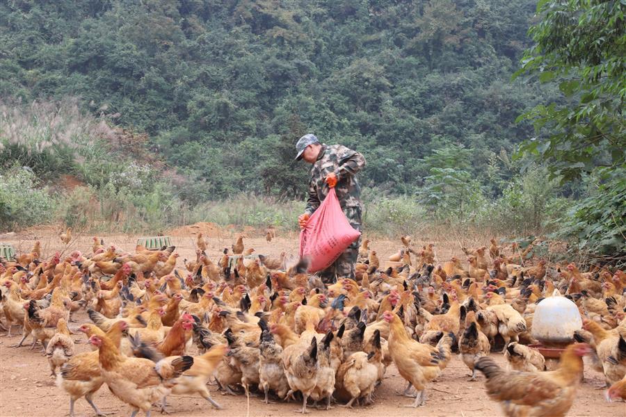 全发国际(中国)有限公司官网