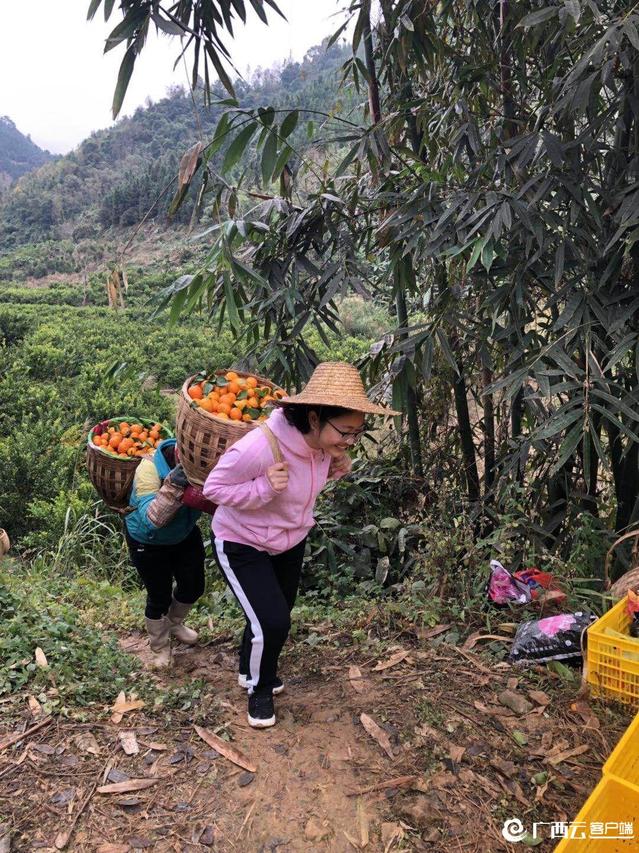 全发国际(中国)有限公司官网
