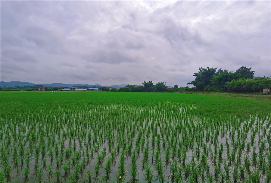 全发国际(中国)有限公司官网