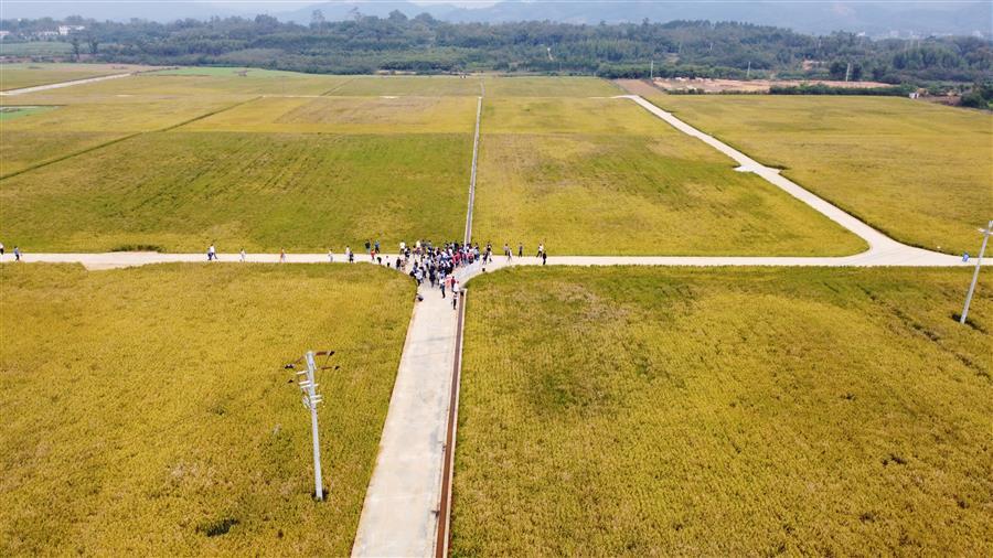 全发国际(中国)有限公司官网