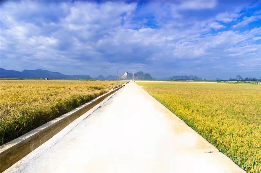 全发国际(中国)有限公司官网