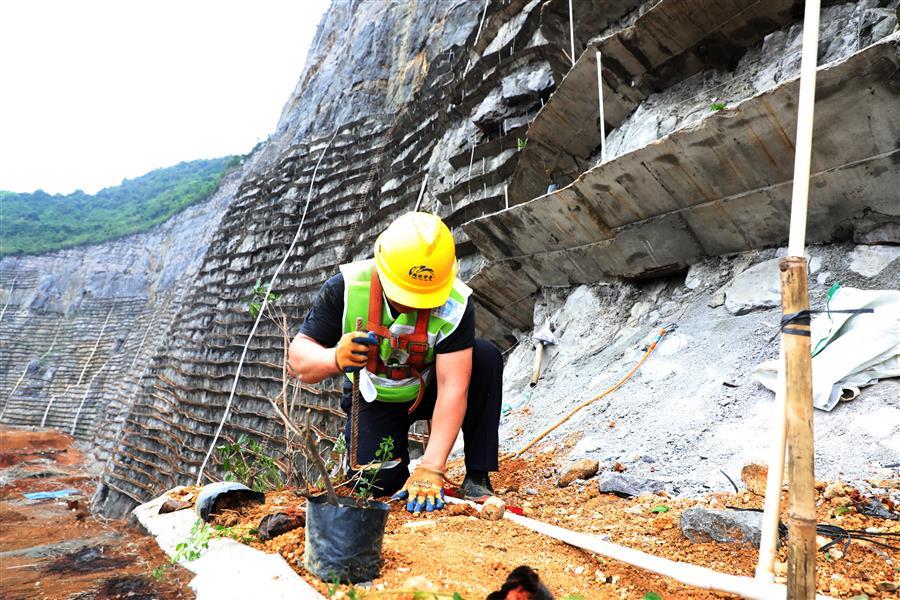 全发国际(中国)有限公司官网