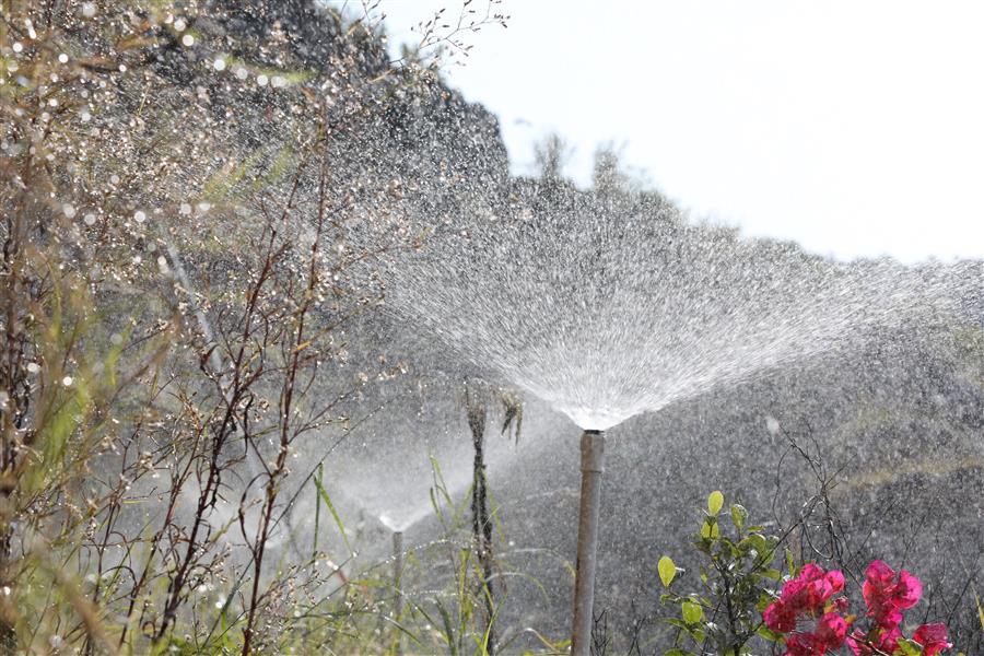 全发国际(中国)有限公司官网