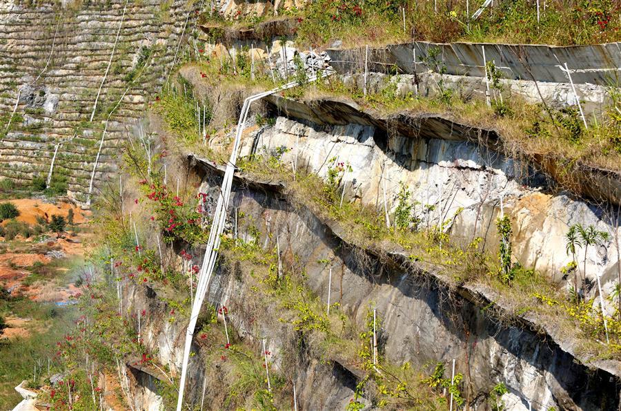 全发国际(中国)有限公司官网