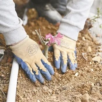 全发国际(中国)有限公司官网