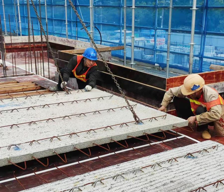 全发国际(中国)有限公司官网