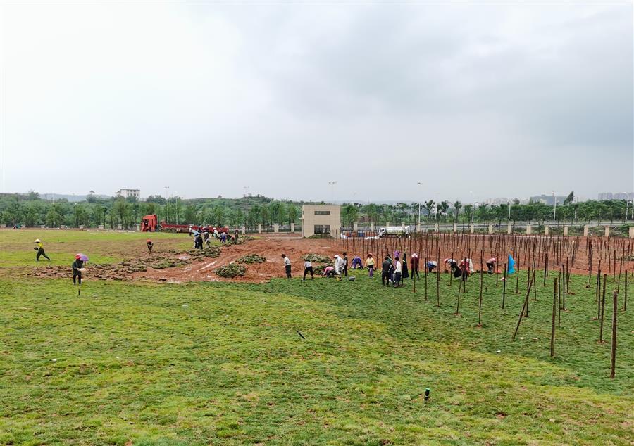 全发国际(中国)有限公司官网