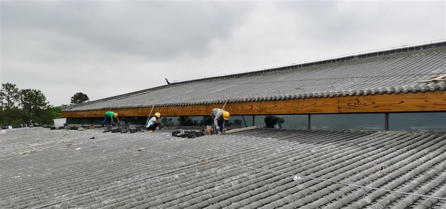 全发国际(中国)有限公司官网