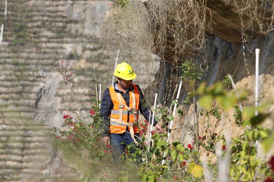 全发国际(中国)有限公司官网