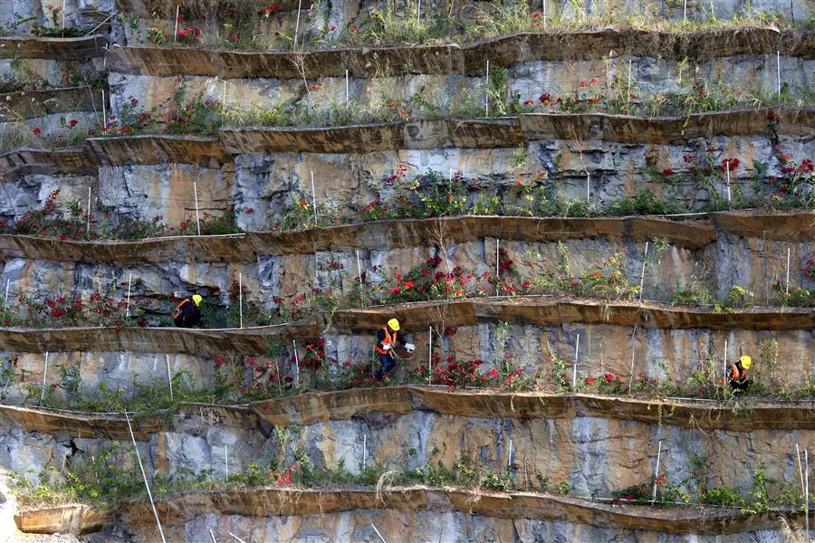 全发国际(中国)有限公司官网