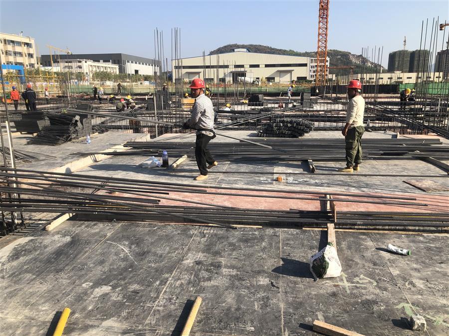 全发国际(中国)有限公司官网