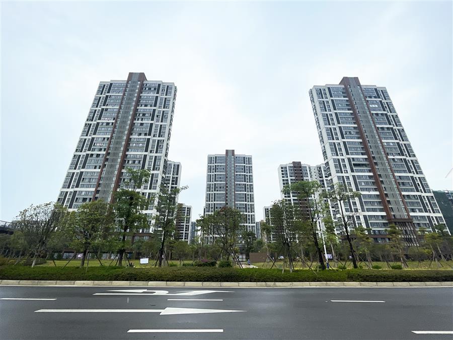 全发国际(中国)有限公司官网