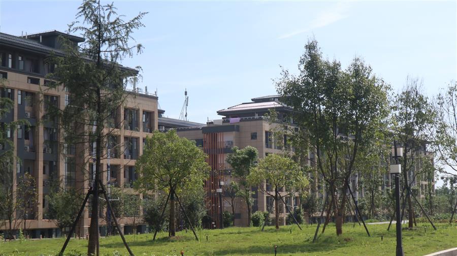 全发国际(中国)有限公司官网