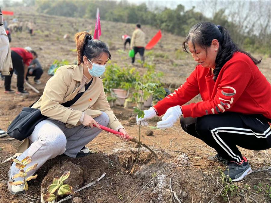 全发国际(中国)有限公司官网