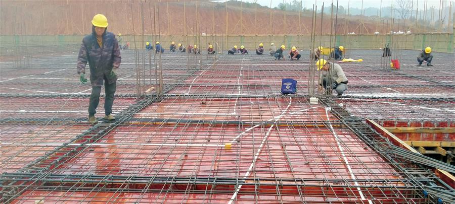 全发国际(中国)有限公司官网