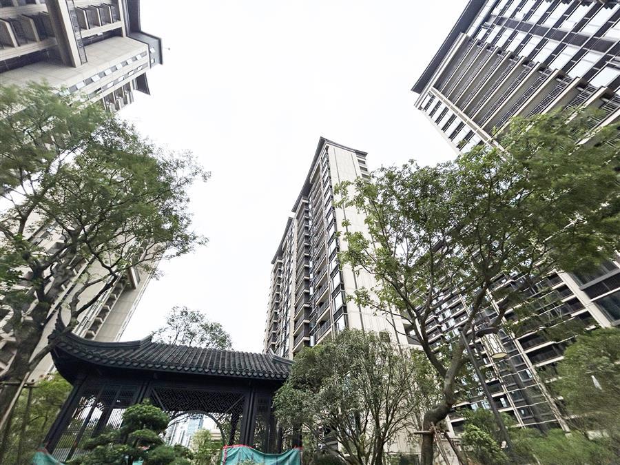 全发国际(中国)有限公司官网