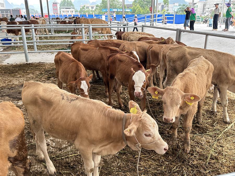 全发国际(中国)有限公司官网