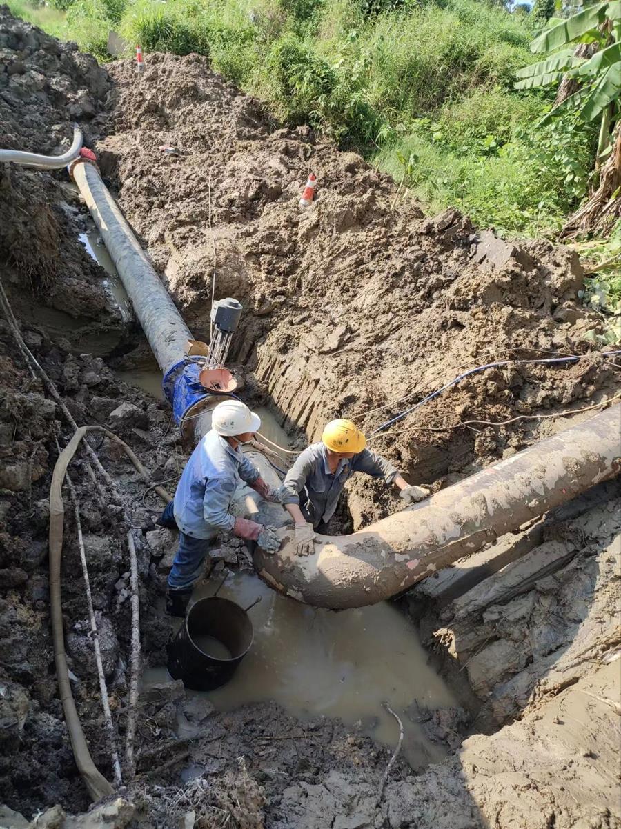 全发国际(中国)有限公司官网