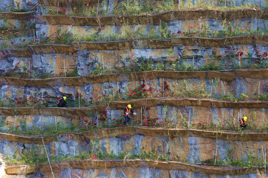 全发国际(中国)有限公司官网