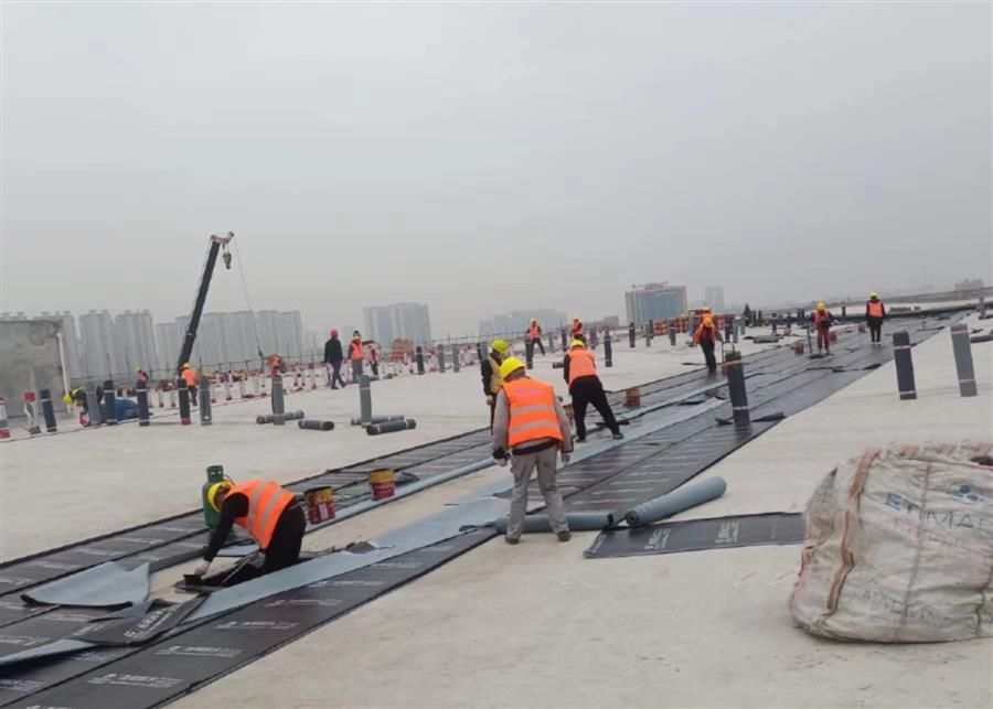 全发国际(中国)有限公司官网