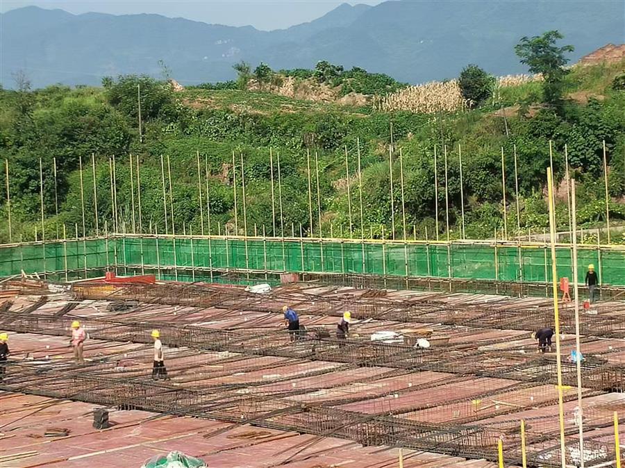 全发国际(中国)有限公司官网