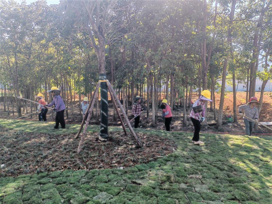 全发国际(中国)有限公司官网